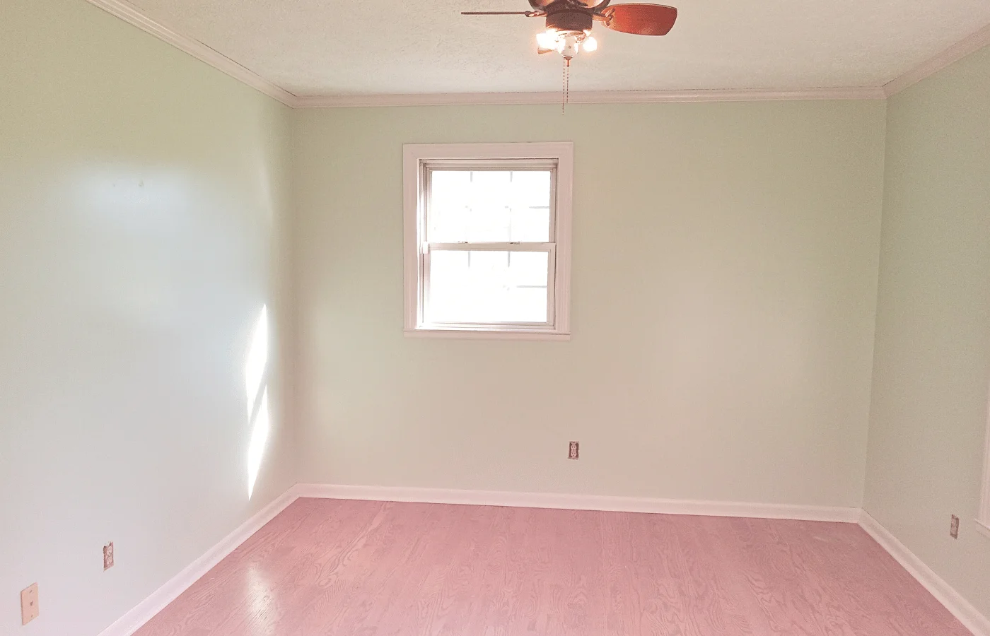 residential wall painting lime green color