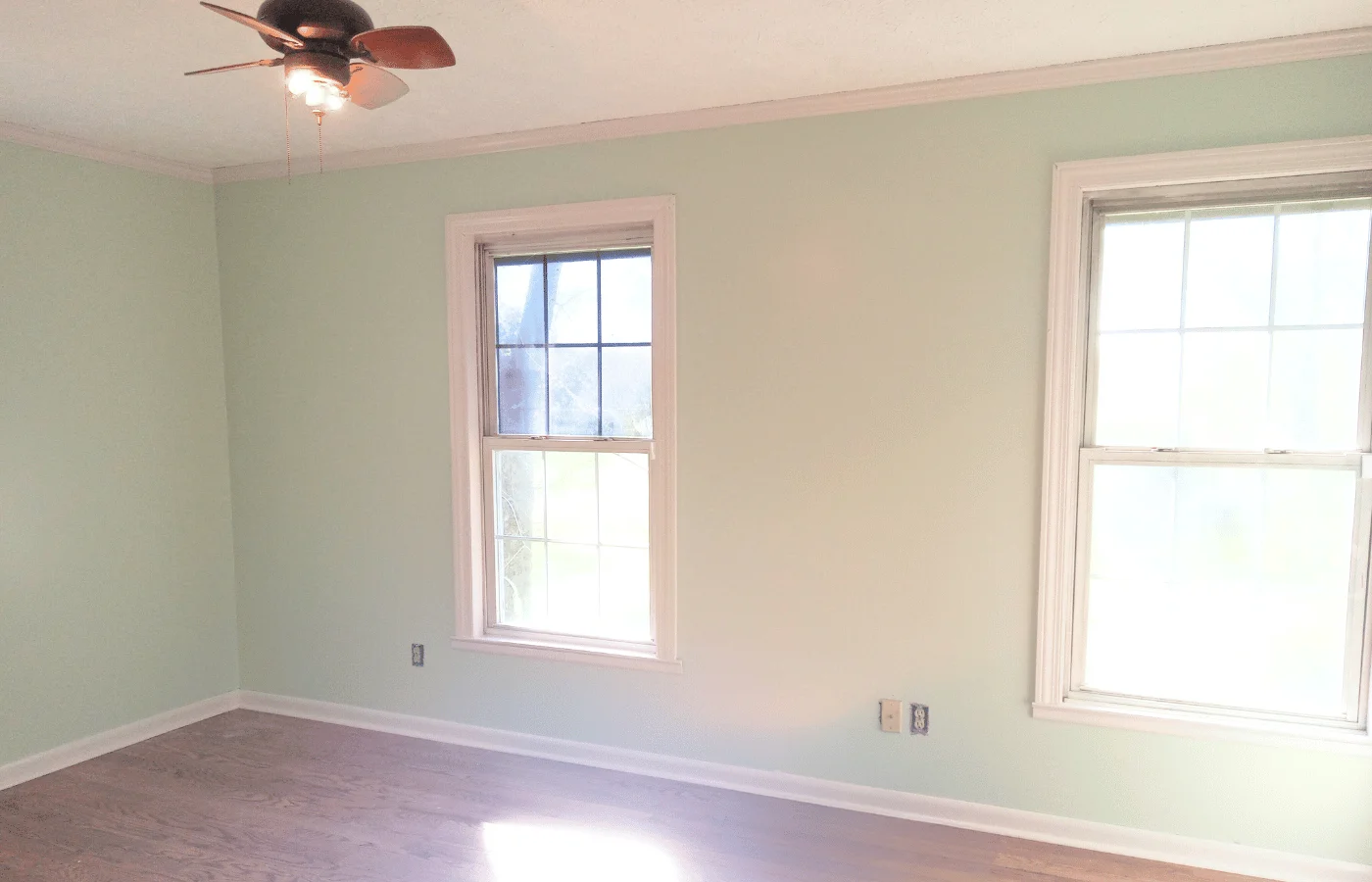 residential wall painting lime green color